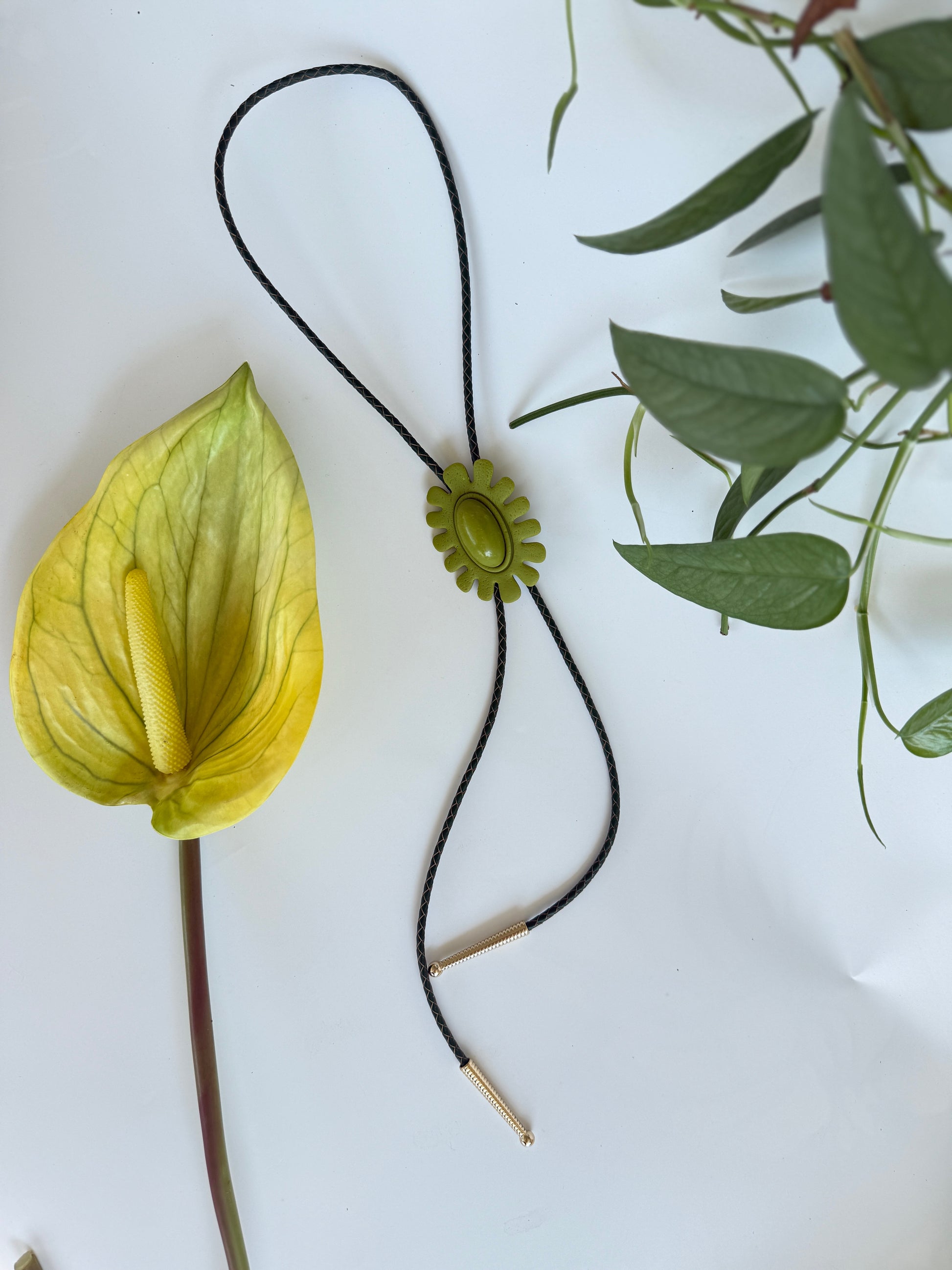The Brio Bolo in Avocado