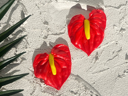 The Anthurium in Red