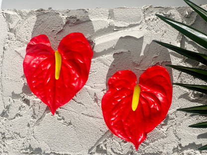 The Anthurium in Red