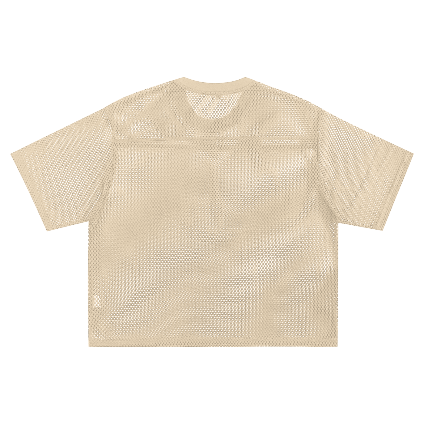 See-through Boxy Net T-shirt