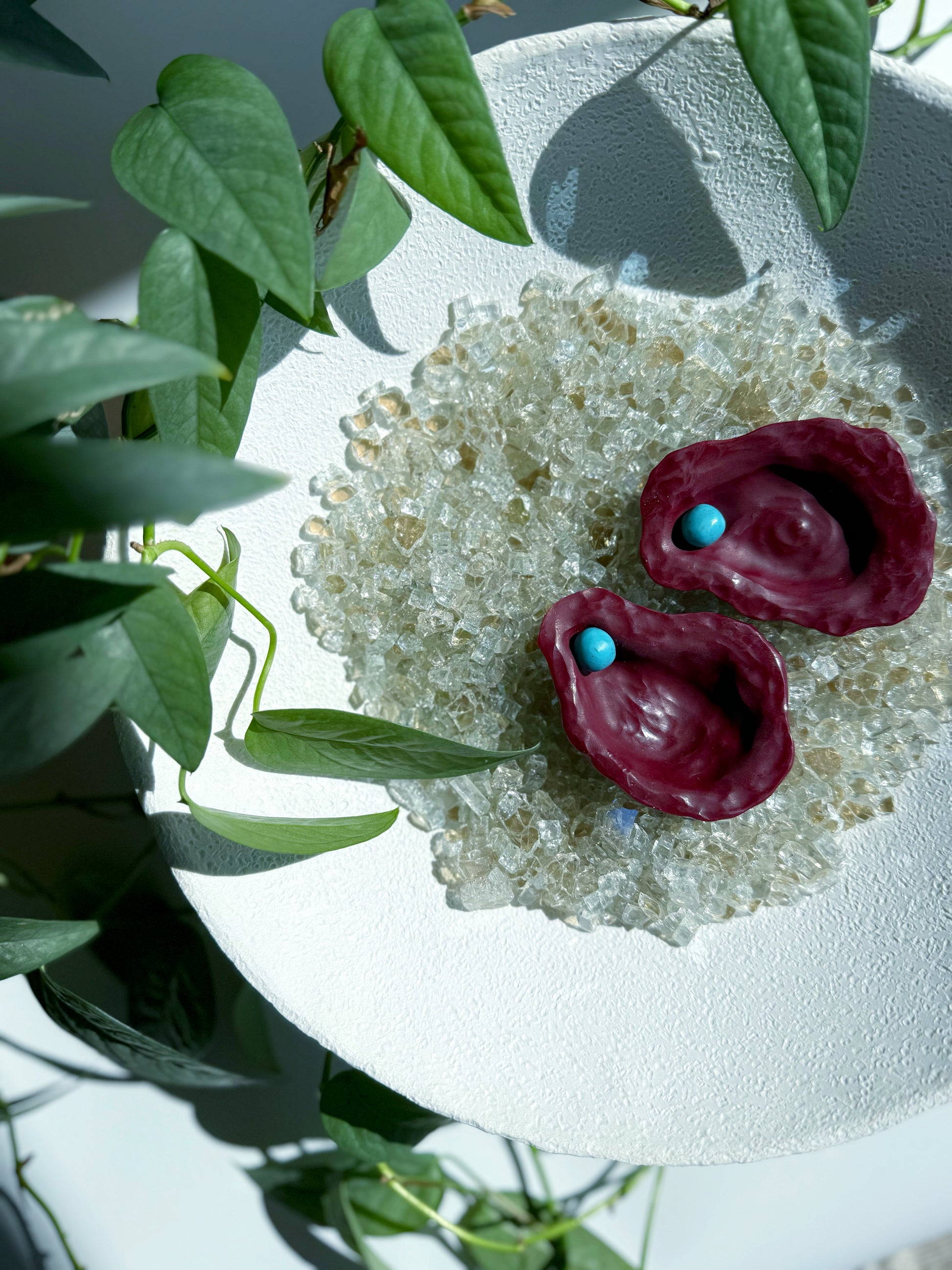 The Oyster -  Multiple Color Options Available!