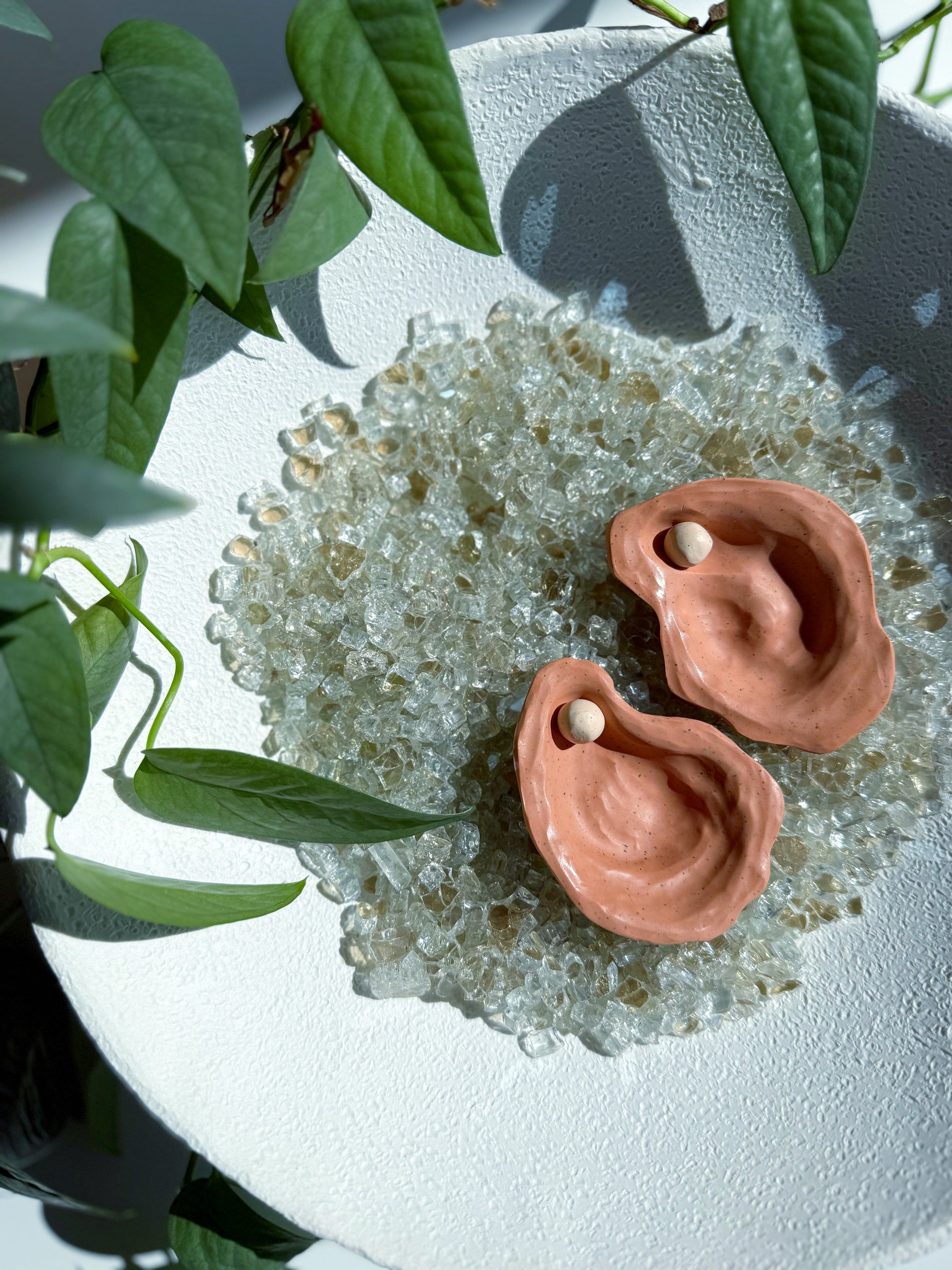 The Oyster -  Multiple Color Options Available!