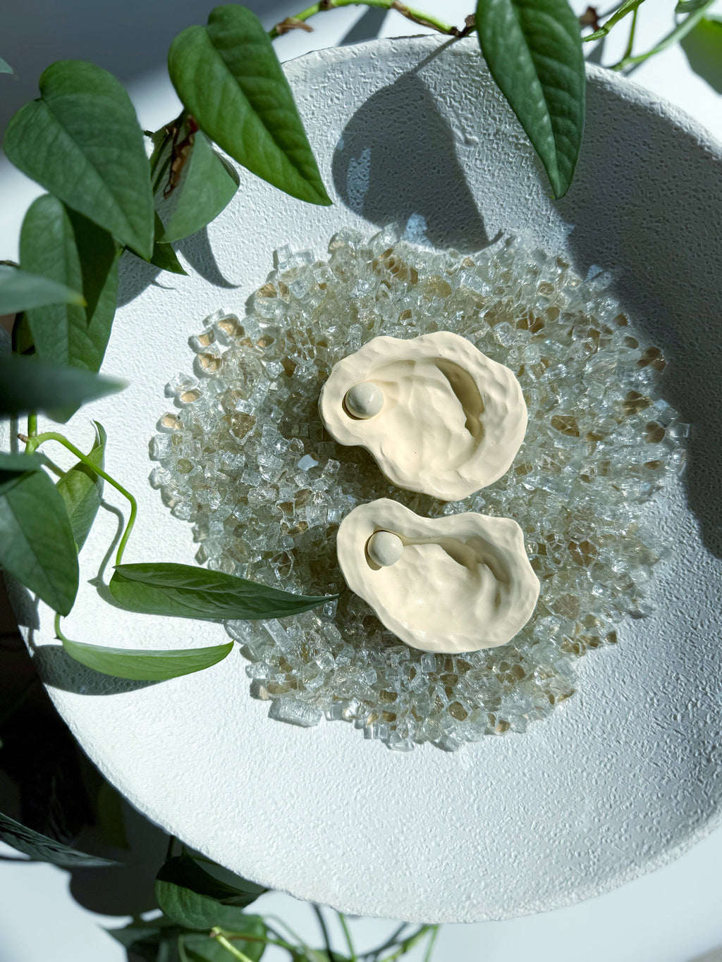 The Oyster -  Multiple Color Options Available!