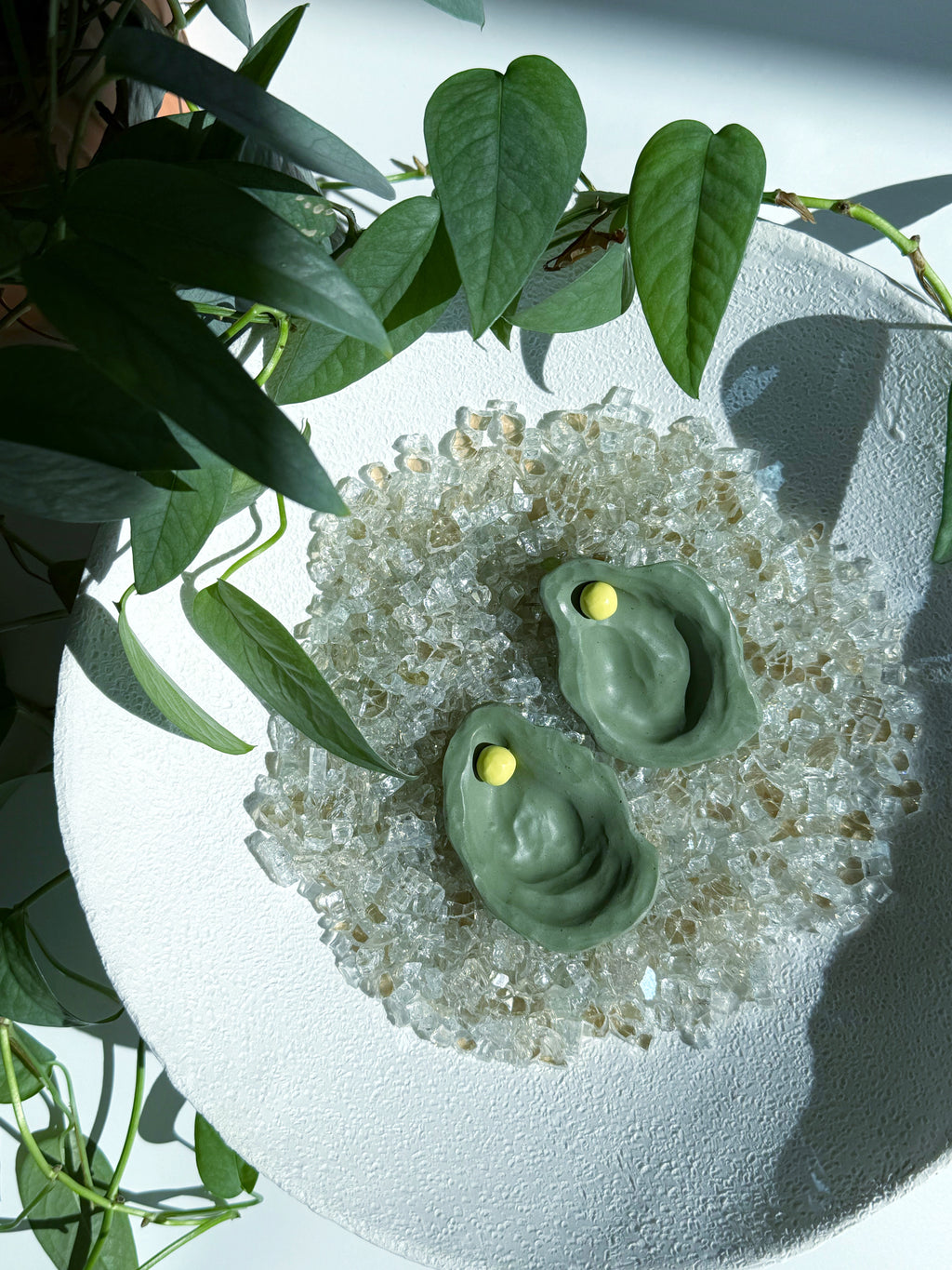 The Oyster -  Multiple Color Options Available!