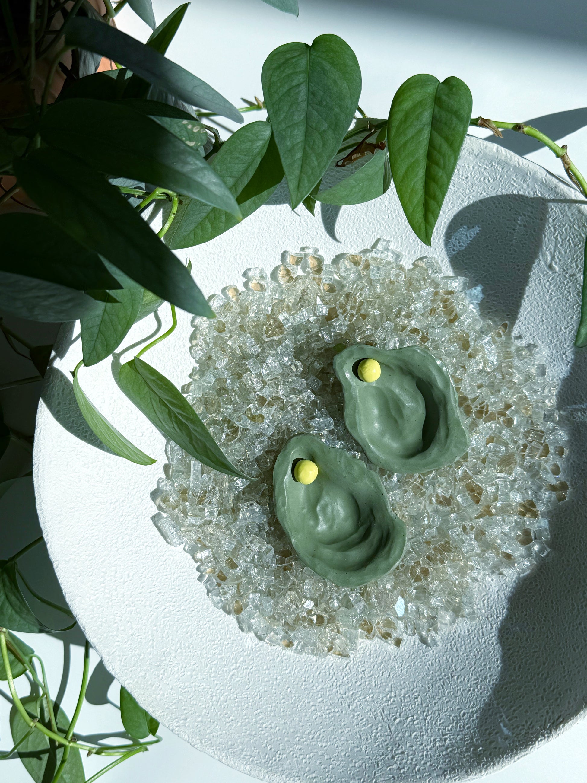 The Oyster -  Multiple Color Options Available!